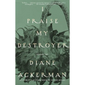 I Praise My Destroyer: Poems - Paperback