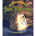 Endangered Sea Turtles - Paperback