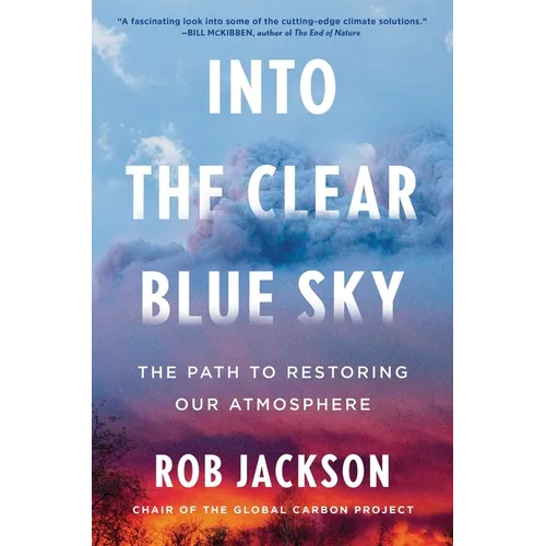 Into the Clear Blue Sky: The Path to Restoring Our Atmosphere - Hardcover