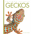 Geckos - Paperback