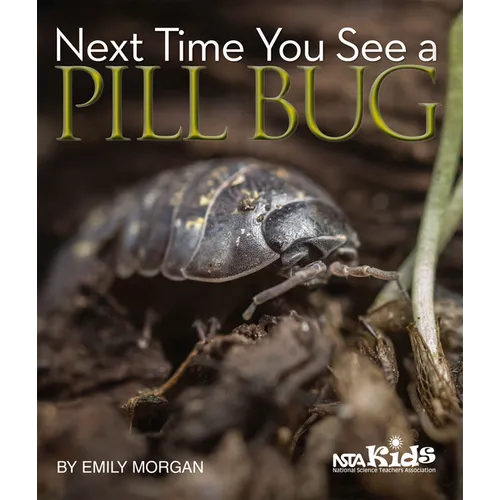 Next Time You See a Pill Bug - Paperback