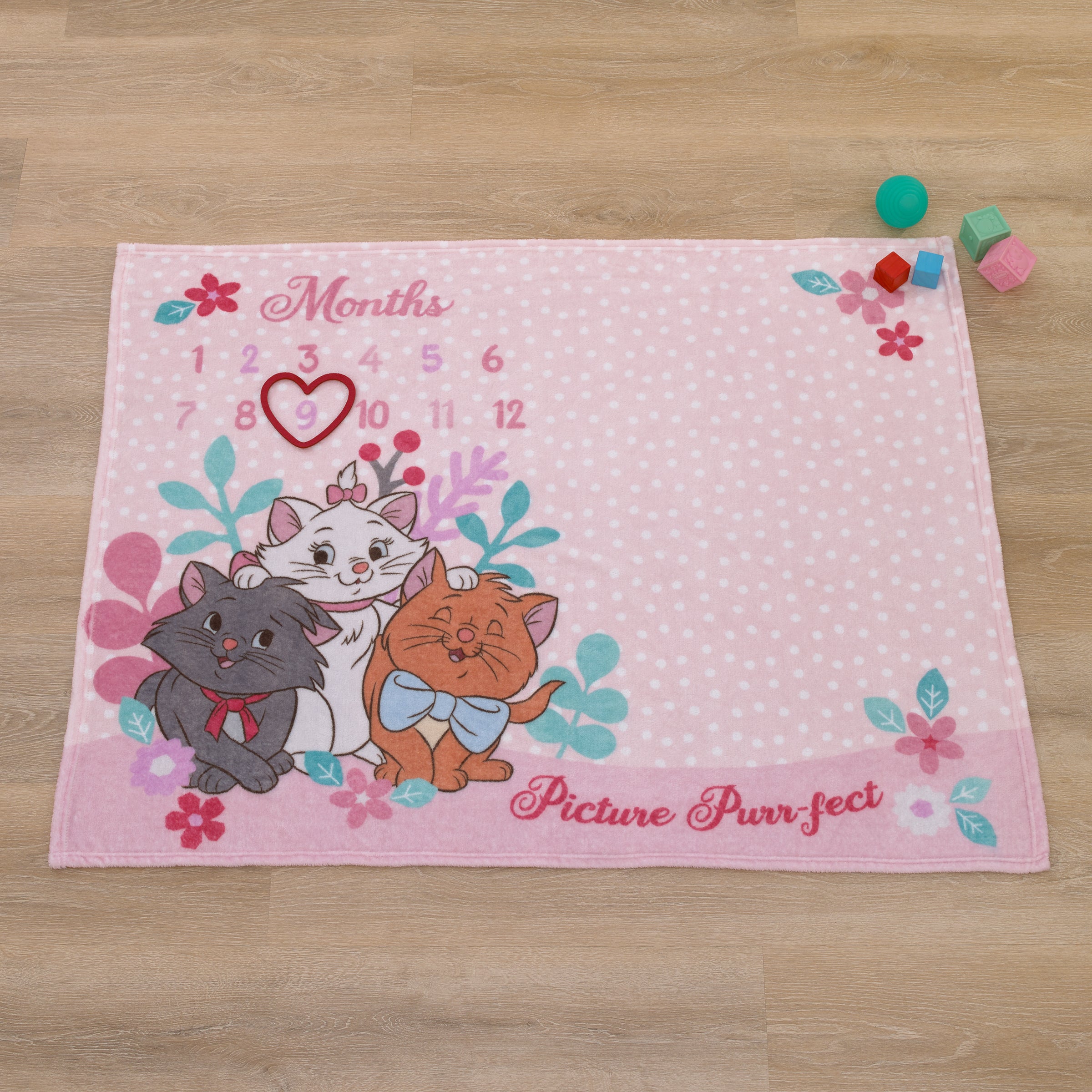 Disney Aristocats Pink Picture Purr-fect Super Soft Photo Op Milestone Baby Blanket