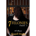 7 Felonies: One Woman's Journey of Poor Choices - Paperback
