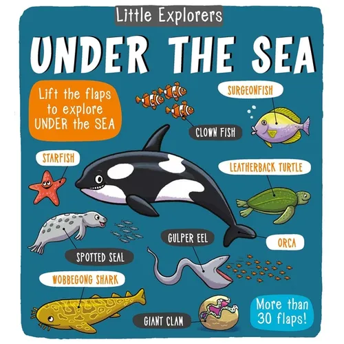 Little Explorers: Under the Sea - Hardcover