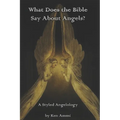 What Does the Bible Say About Angels?: A Styled Angelology - Paperback