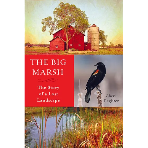 The Big Marsh: The Story of a Lost Landscape - Paperback