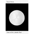 Souls of the LaBadie Tract - Paperback