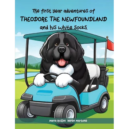 The First Year Adventures Of Theodore The Newfoundland And His White Socks - Paperback