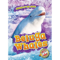 Beluga Whales - Library Binding