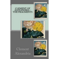 The Fragments - Paperback