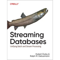 Streaming Databases: Unifying Batch and Stream Processing - Paperback
