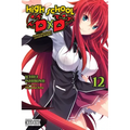 High School DXD, Vol. 12 (Light Novel): Supplementary Lesson Heroes Volume 12 - Paperback