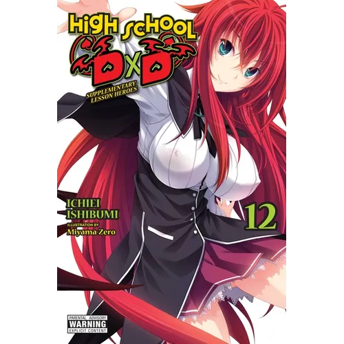 High School DXD, Vol. 12 (Light Novel): Supplementary Lesson Heroes Volume 12 - Paperback