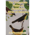 The Composite Plates of Audubon's Birds of America - Paperback