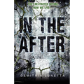 In the After - Paperback