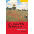 A Picture to Remember Level 2 - Paperback
