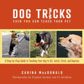 Dog Tricks Even You Can Teach Your Pet: A Step-By-Step Guide to Teaching Your Pet to Sit, Catch, Fetch, and Impress - Paperback