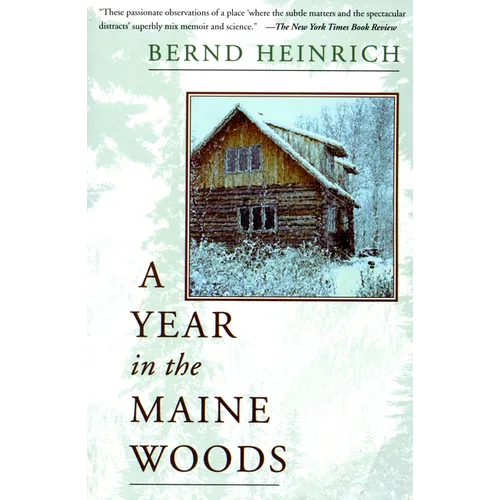 A Year in the Maine Woods - Paperback