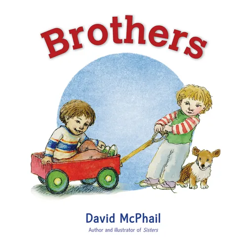 Brothers - Board Book