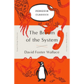 The Broom of the System - Paperback
