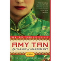 The Valley of Amazement - Paperback