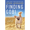 Finding Gobi: A Little Dog with a Very Big Heart - Paperback