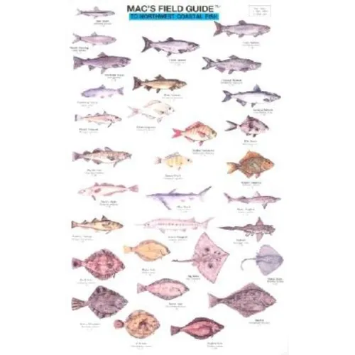 Mac's Field Guides: Northwest Coastal Fish