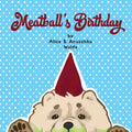 Meatball's Birthday - Paperback