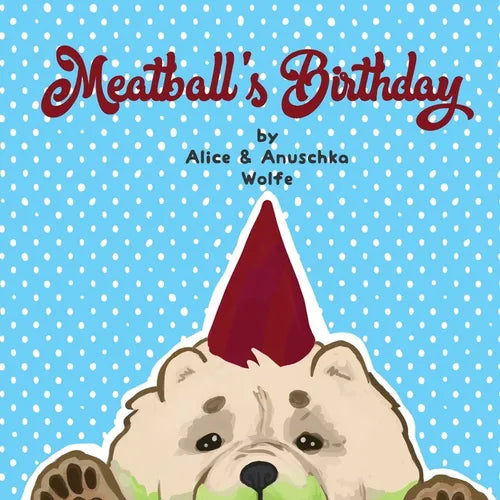 Meatball's Birthday - Paperback