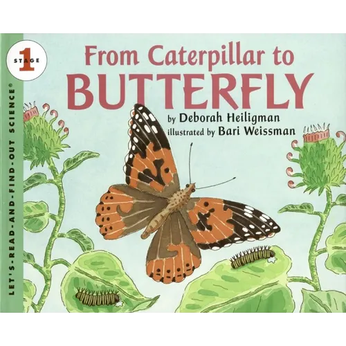 From Caterpillar to Butterfly - Paperback