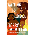 Waiting to Exhale - Paperback
