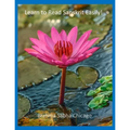 Learn to Read Sanskrit Easily! - Paperback