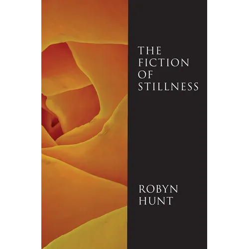 The Fiction of Stillness - Paperback