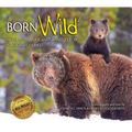Born Wild 2: In Yellowstone and Grand Teton National Parks - Paperback