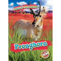 Pronghorn - Library Binding