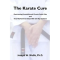 The Karate Cure: Overcoming Prostatitis and Chronic Pelvic Pain - Paperback