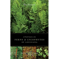 A Field Guide to the Ferns and Lycophytes of Louisiana - Paperback