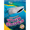 Whale Sharks - Library Binding