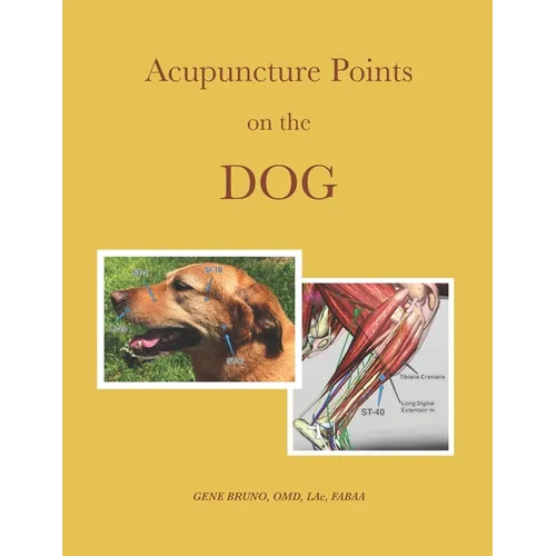 Acupuncture Points on the Dog - Paperback