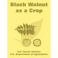 Black Walnut as a Crop - Paperback