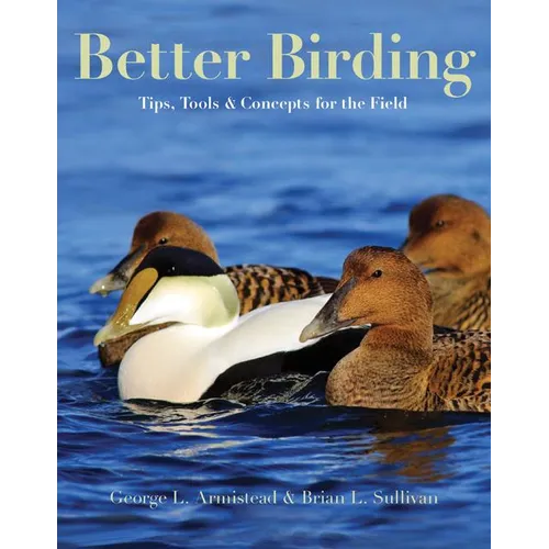 Better Birding: Tips, Tools, and Concepts for the Field - Paperback