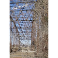 The Bridge - Paperback