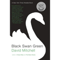 Black Swan Green - Paperback
