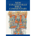 New Collegeville Bible Commentary: One Volume Hardcover Edition - Hardcover