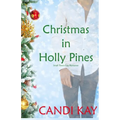 Christmas in Holly Pines (Small Town Gay Romance) - Paperback