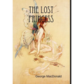 The Lost Princess - Hardcover