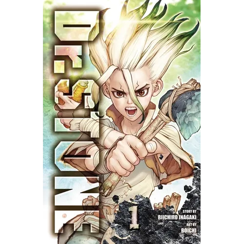 Dr. Stone, Vol. 1: Stone World - Paperback
