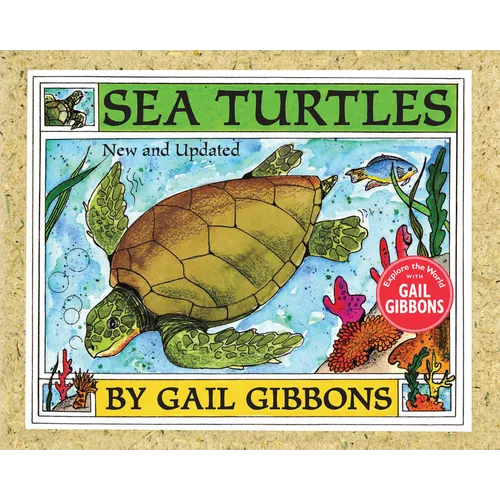 Sea Turtles - Paperback