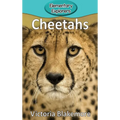 Cheetahs - Hardcover