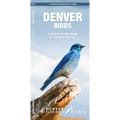 Denver Birds, 2nd Ed: A Folding Pocket Guide to Familiar Species